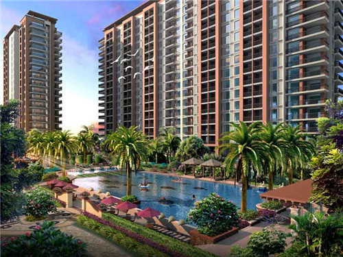 三花奶奶的甜品