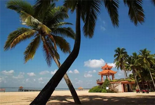 金泰缘排骨米饭