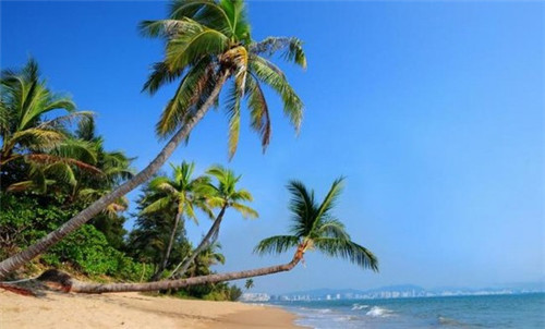 李馍馍小姐肉夹馍