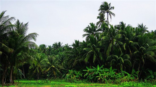 县城可以加盟锅边边酥肉吗，中式快餐加盟好的品牌好加盟吗