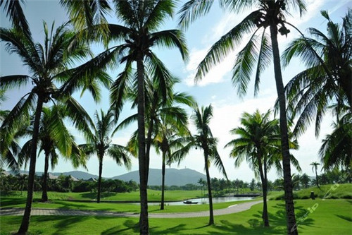 轮胎养护剂加盟投资创业什么品牌风险低，轮胎养护的好处