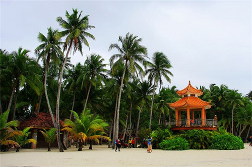 莎莉最后和谁在一起（莎莉是谁）