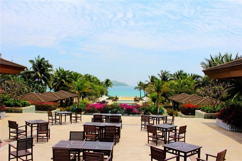 香港歌日语版叫什么（香港歌曲日语版）